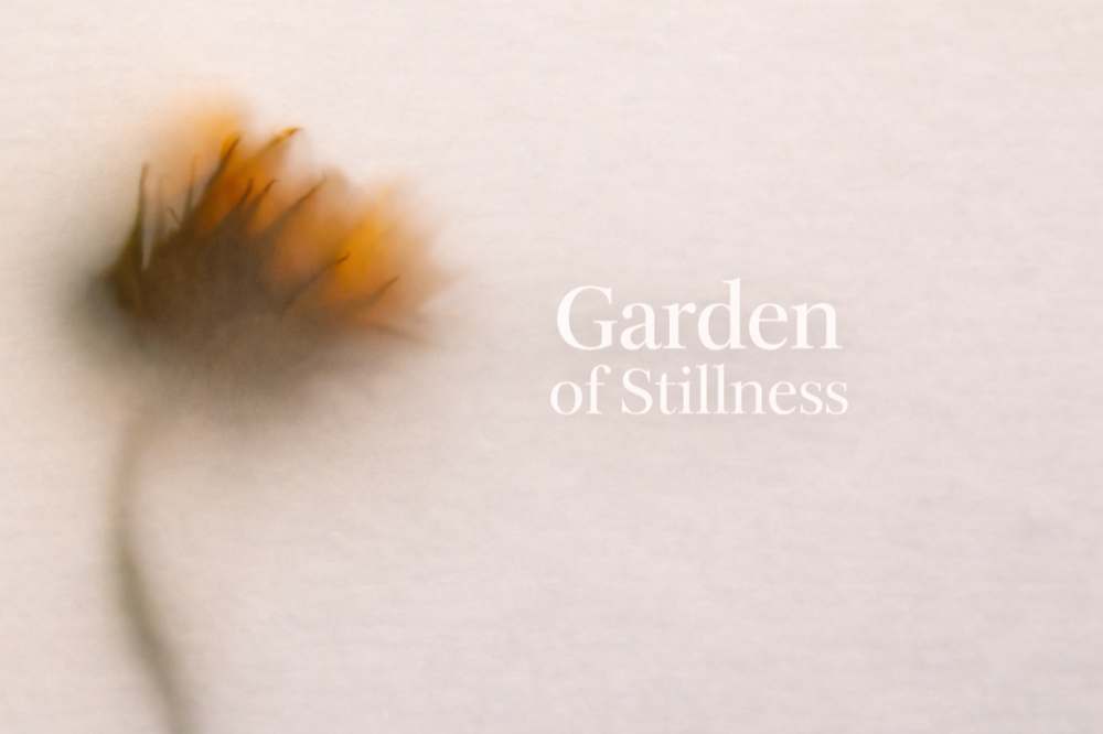 Garden of Stillness